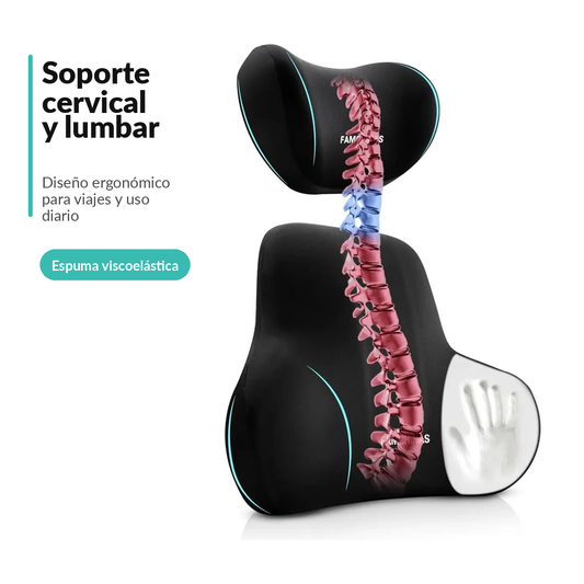 NovaGroup Almofada Lombar Ergonômica para Carro, Escritório e Sofá - Suporte para Coluna